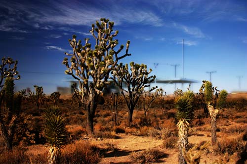 on the edge of space